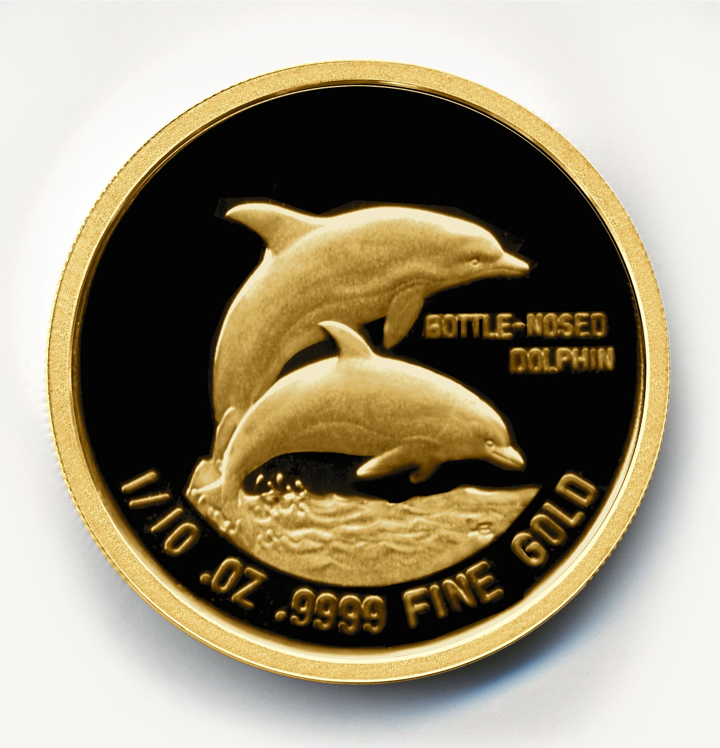Bottle-Nosed Dolphin Gold Round