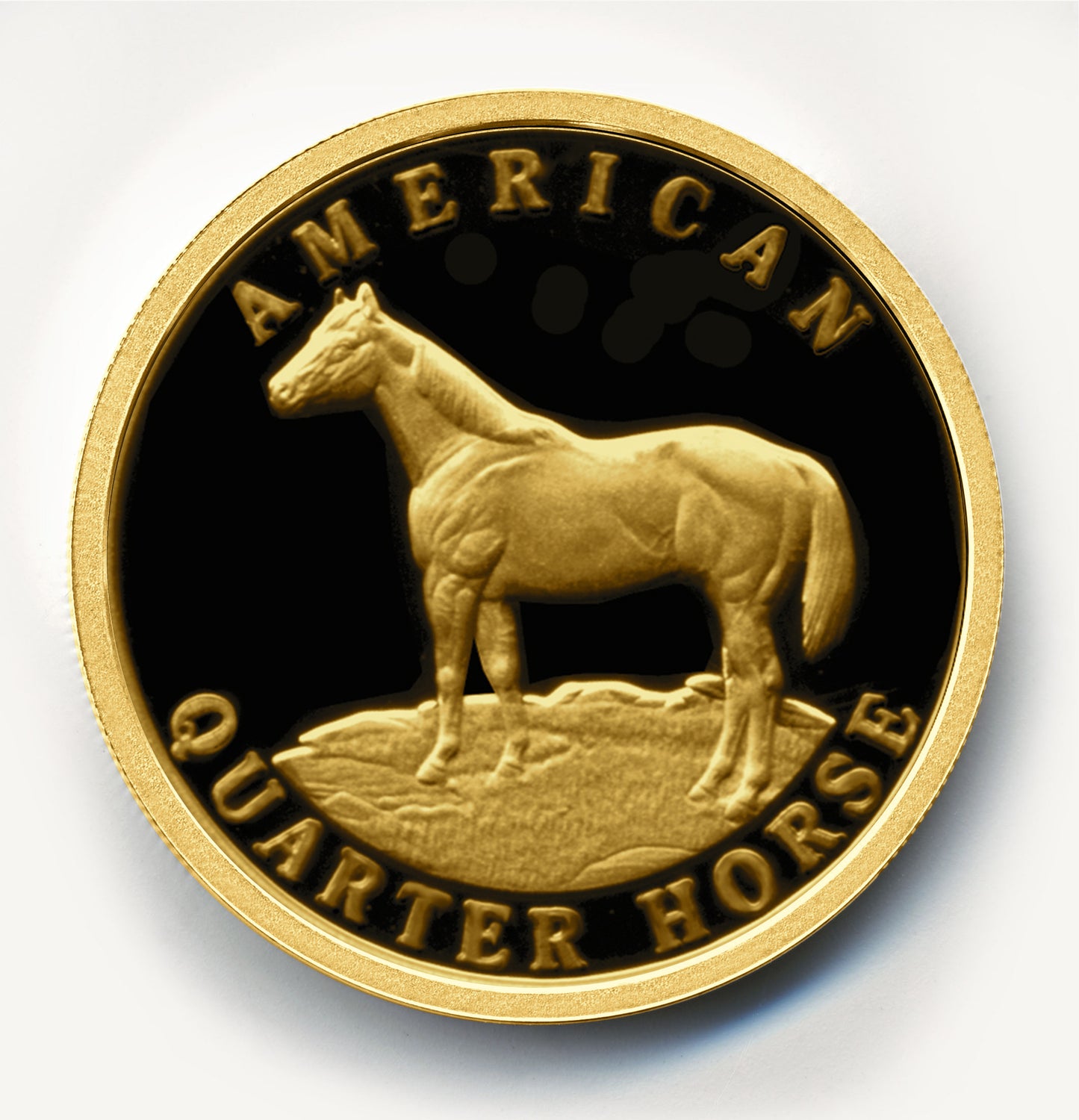 American Quarter Horse Gold Round
